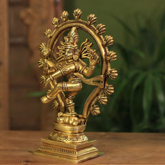 Brass Natraj Superfine