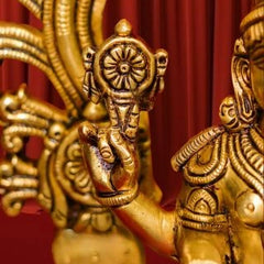Brass Perumal On Tortoisse