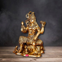 BRASS SHIVA ON LION MAT LARGE