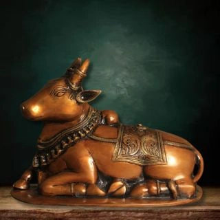 Brass-Nandi-1