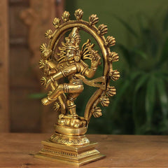 Brass Natraj Superfine