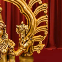 Brass Perumal On Tortoisse