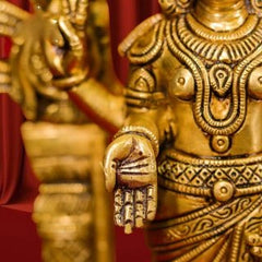 Brass Perumal On Tortoisse
