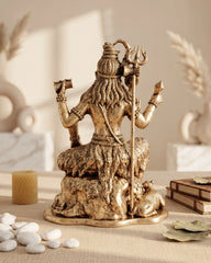 Brass Shiva on Lion Mat Large