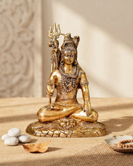 Brass shiva statue Meditating On Lion Mat