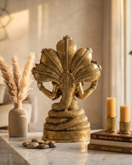 Buy Brass Patanjali