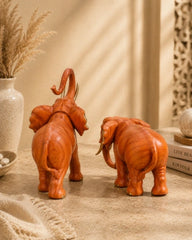 Elegant African Elephant Pair - Set of two