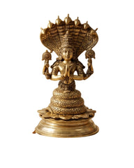 Patanjali Brass Murti
